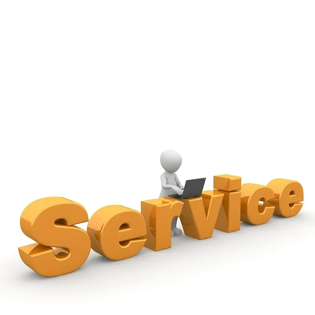 Service One